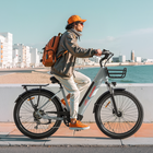 Eletronbike OC26