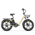ELETRONBIKE OC20